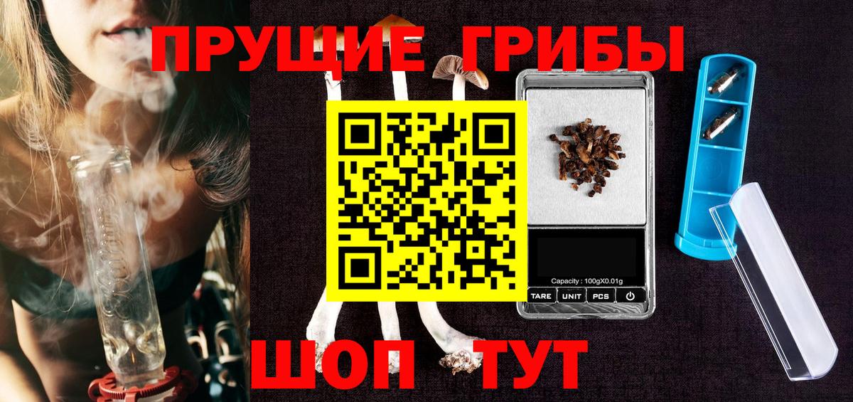 Галлюциногенные грибы Psilocybine cubensis  Вход с VPN  Ликино-Дулёво 