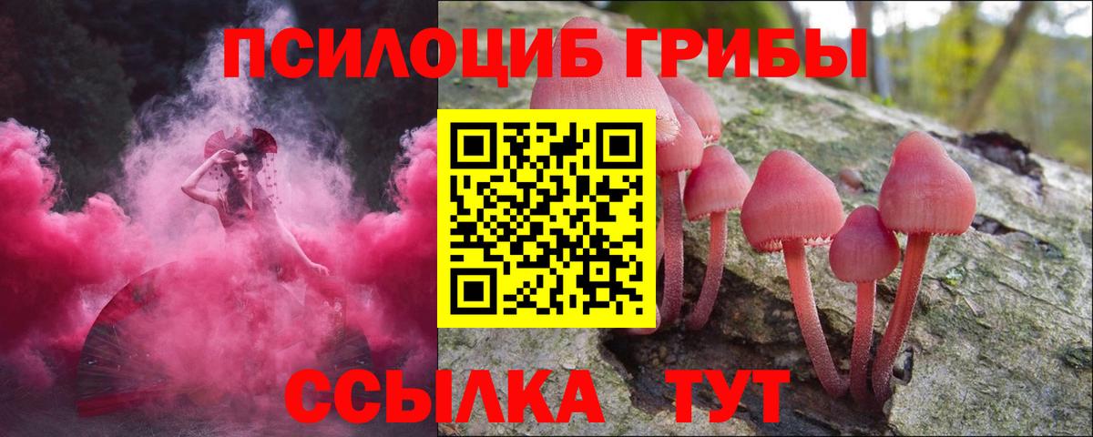 Галлюциногенные грибы мицелий Ликино-Дулёво